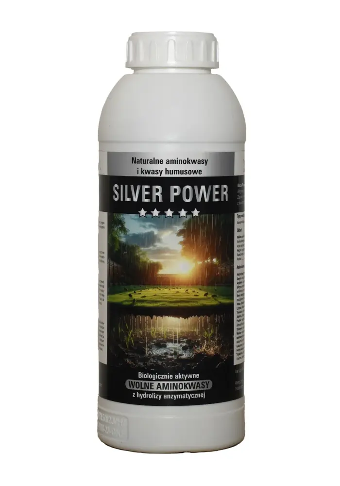 silver-power-1